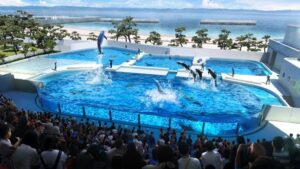 須磨水族館リニューアル/シャチ展示いつから？料金・レストラン・展示施設についても調査